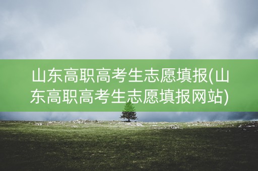 山东高职高考生志愿填报(山东高职高考生志愿填报网站)