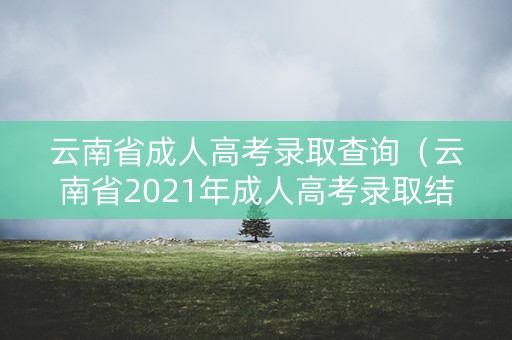 云南省成人高考录取查询（云南省2021年成人高考录取结果查询）