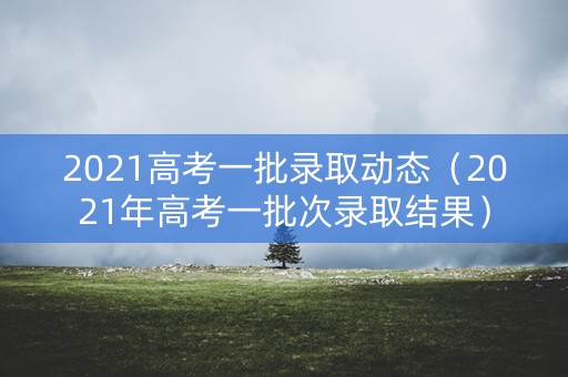 2021高考一批录取动态（2021年高考一批次录取结果）