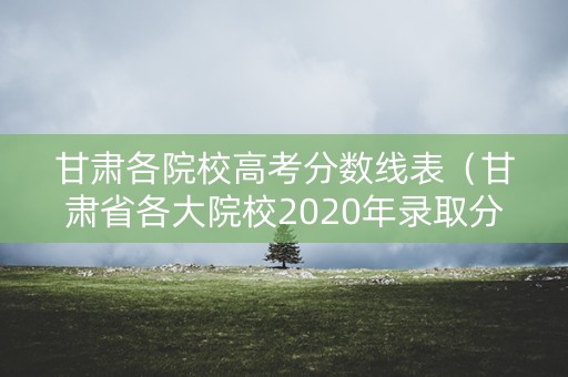 甘肃各院校高考分数线表（甘肃省各大院校2020年录取分数线）