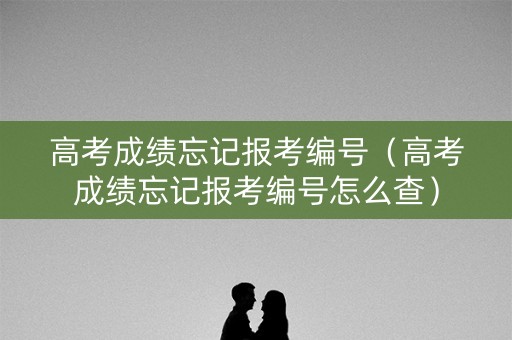 高考成绩忘记报考编号（高考成绩忘记报考编号怎么查）