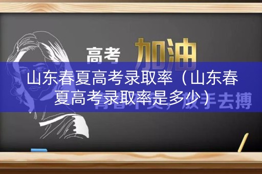 山东春夏高考录取率（山东春夏高考录取率是多少）