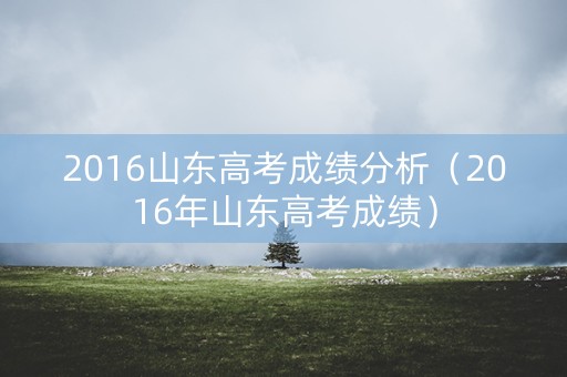 2016山东高考成绩分析（2016年山东高考成绩）