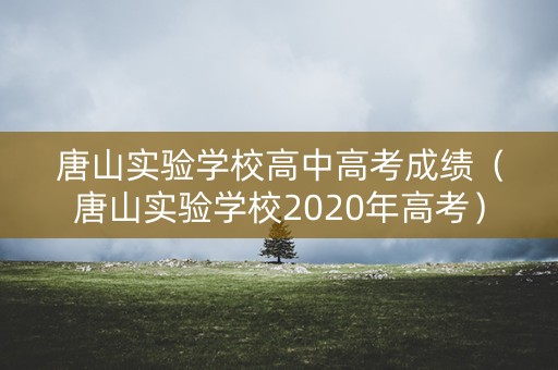 唐山实验学校高中高考成绩（唐山实验学校2020年高考）