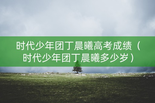 时代少年团丁晨曦高考成绩（时代少年团丁晨曦多少岁）