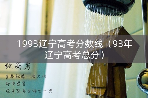 1993辽宁高考分数线（93年辽宁高考总分）