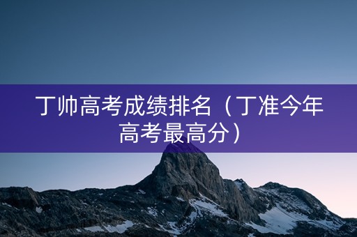 丁帅高考成绩排名（丁准今年高考最高分）