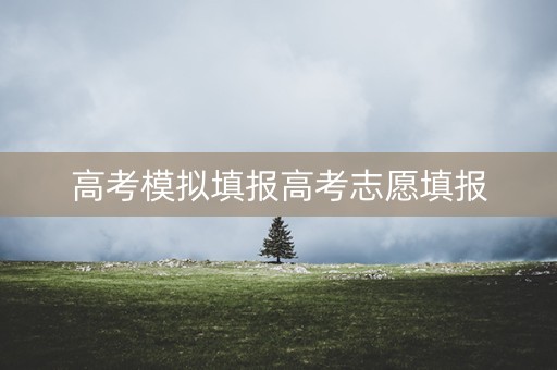 高考模拟填报高考志愿填报