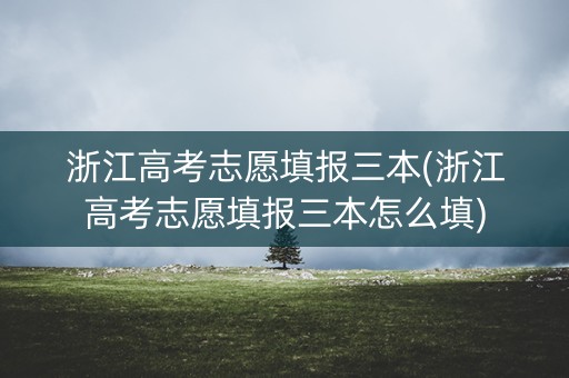 浙江高考志愿填报三本(浙江高考志愿填报三本怎么填)