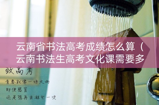 云南省书法高考成绩怎么算（云南书法生高考文化课需要多少分）