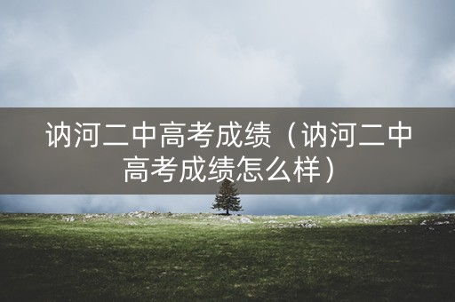 讷河二中高考成绩（讷河二中高考成绩怎么样）