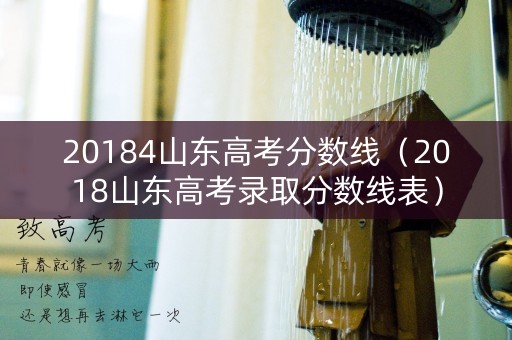 20184山东高考分数线（2018山东高考录取分数线表）