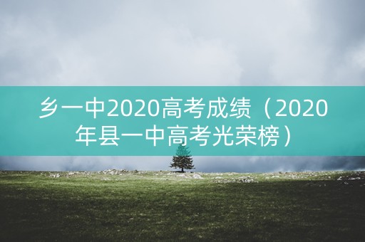 乡一中2020高考成绩（2020年县一中高考光荣榜）