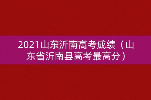 2021山东沂南高考成绩（山东省沂南县高考最高分）