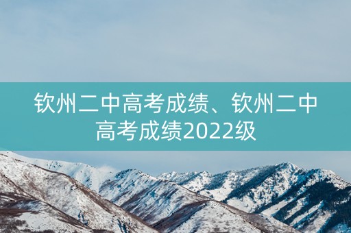 钦州二中高考成绩、钦州二中高考成绩2022级