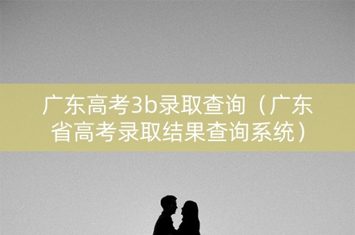 广东高考3b录取查询（广东省高考录取结果查询系统）