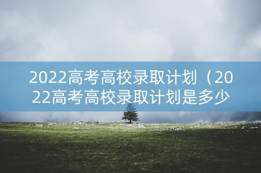 2022高考高校录取计划（2022高考高校录取计划是多少）