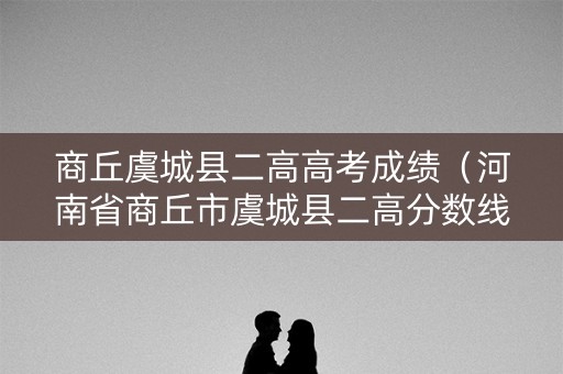 商丘虞城县二高高考成绩（河南省商丘市虞城县二高分数线）