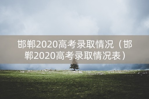 邯郸2020高考录取情况（邯郸2020高考录取情况表）