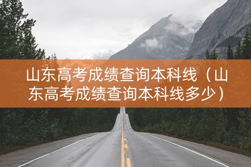 山东高考成绩查询本科线（山东高考成绩查询本科线多少）
