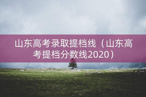 山东高考录取提档线（山东高考提档分数线2020）