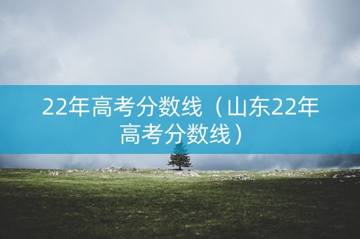 22年高考分数线（山东22年高考分数线）