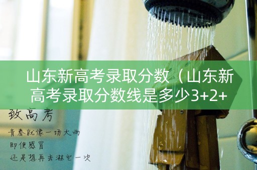 山东新高考录取分数（山东新高考录取分数线是多少3+2+1）