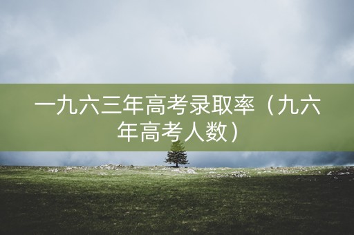 一九六三年高考录取率（九六年高考人数）