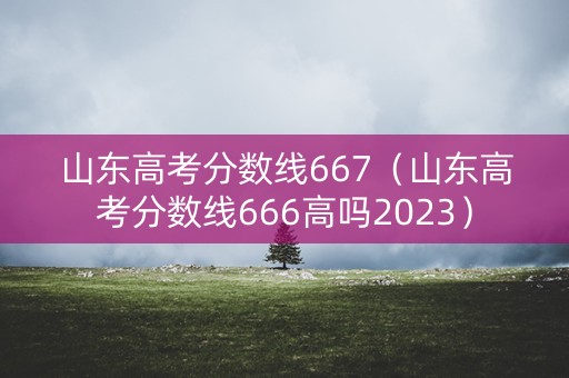 山东高考分数线667（山东高考分数线666高吗2023）