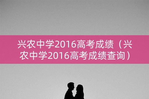 兴农中学2016高考成绩（兴农中学2016高考成绩查询）