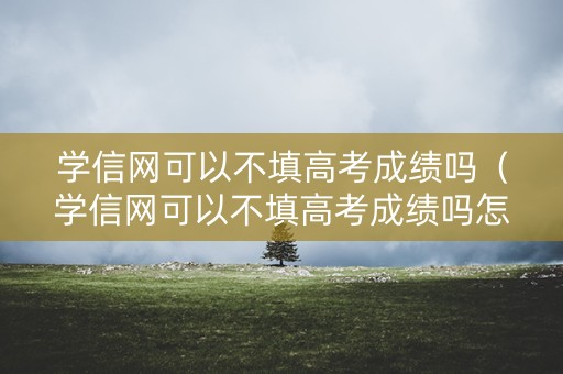 学信网可以不填高考成绩吗（学信网可以不填高考成绩吗怎么填）