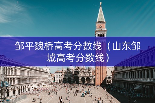 邹平魏桥高考分数线（山东邹城高考分数线）