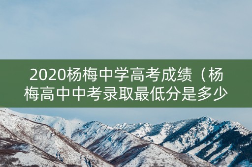 2020杨梅中学高考成绩（杨梅高中中考录取最低分是多少）