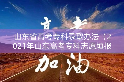 山东省高考专科录取办法（2021年山东高考专科志愿填报指南）