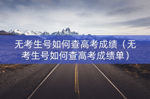 无考生号如何查高考成绩（无考生号如何查高考成绩单）