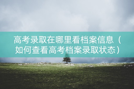 高考录取在哪里看档案信息（如何查看高考档案录取状态）