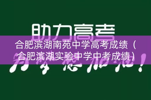 合肥滨湖南苑中学高考成绩（合肥滨湖实验中学中考成绩）