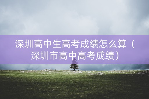 深圳高中生高考成绩怎么算（深圳市高中高考成绩）