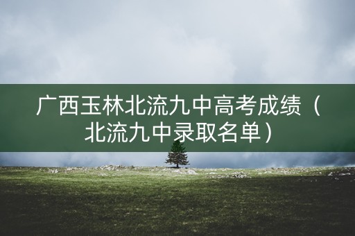 广西玉林北流九中高考成绩（北流九中录取名单）