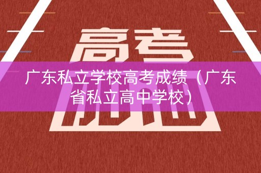 广东私立学校高考成绩（广东省私立高中学校）