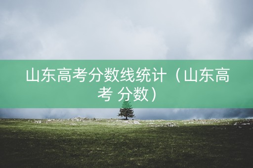 山东高考分数线统计（山东高考 分数）