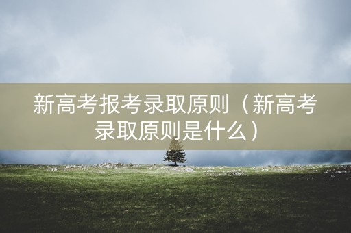 新高考报考录取原则（新高考录取原则是什么）