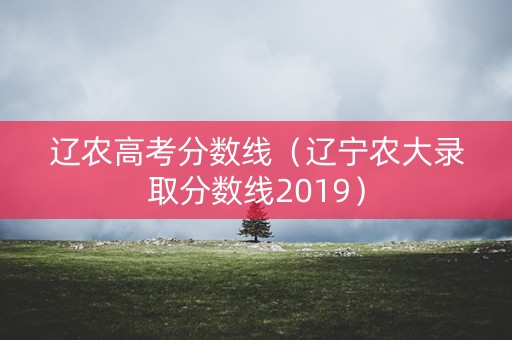 辽农高考分数线（辽宁农大录取分数线2019）