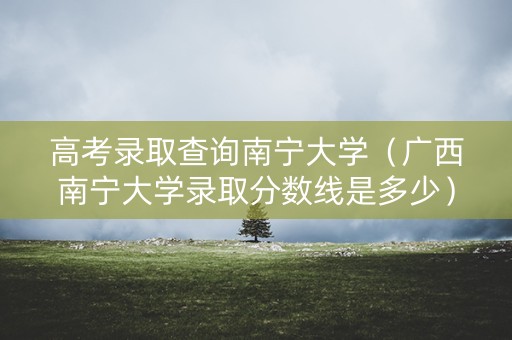 高考录取查询南宁大学（广西南宁大学录取分数线是多少）