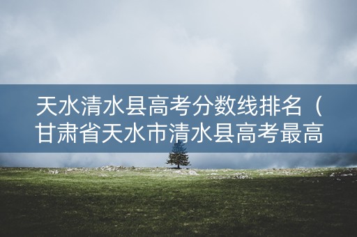 天水清水县高考分数线排名（甘肃省天水市清水县高考最高分）