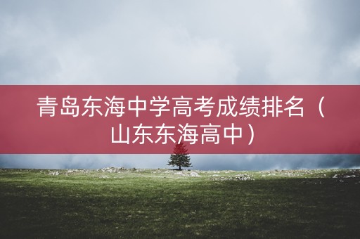 青岛东海中学高考成绩排名（山东东海高中）