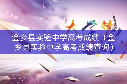 金乡县实验中学高考成绩（金乡县实验中学高考成绩查询）