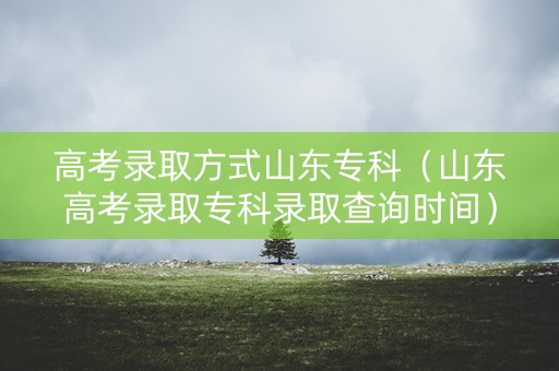 高考录取方式山东专科（山东高考录取专科录取查询时间）