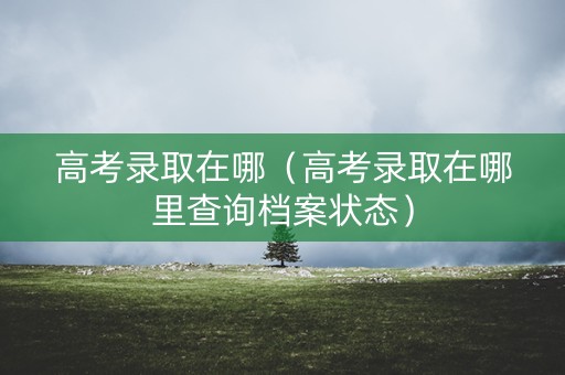 高考录取在哪（高考录取在哪里查询档案状态）
