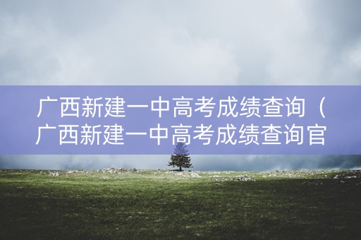 广西新建一中高考成绩查询（广西新建一中高考成绩查询官网）